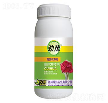 �^�p������-��ѿ�l(f��)֦��