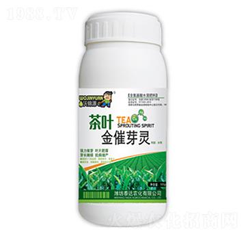 ���~���ѿ�`-̩�_�r(n��ng)��