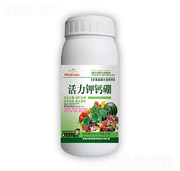 ������}�𣨾G��-̩�_