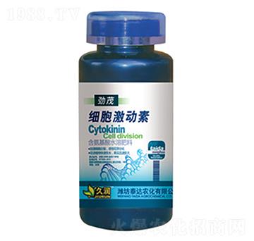 ����������-̩�_�r(n��ng)��