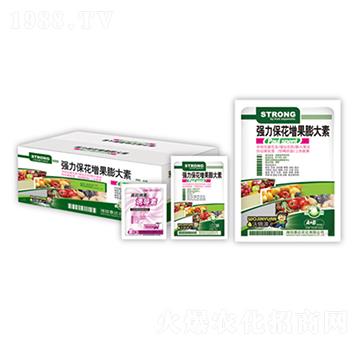 �����������������-̩