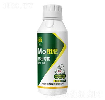 ���������f��-�S�՘�(l��)