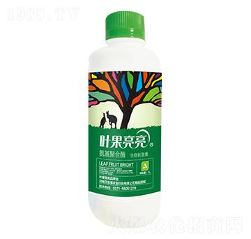 氨基聚合酶-葉果亮亮-艾樂(lè)美