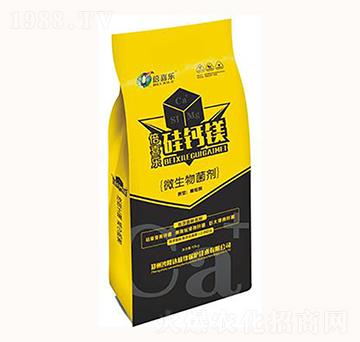 ΢�������-��ϲ�����}�V-ɳ¡�_(d��)