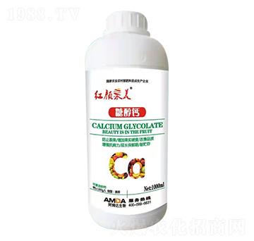 �Ǵ��}-�t���-��ķ�_