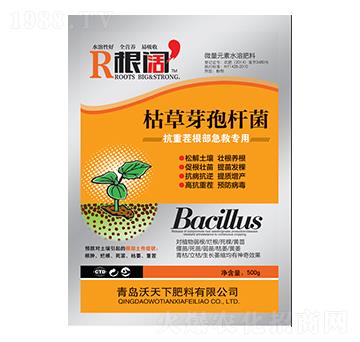500g枯草芽孢桿菌-根闊-沃天下
