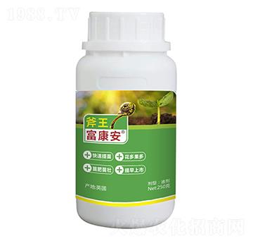 250g富康安-斧王-天宸夢(mèng)