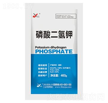 �������� 꿾�