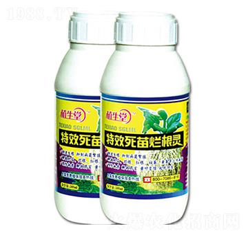 ���砀���` �R������