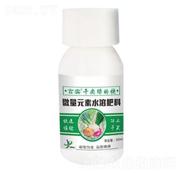微量元素水溶肥 言實(shí)·干尖綠的快 金牌化工