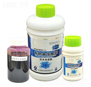 Ӣ��˼���ձ������� ���(gu��)�r(n��ng)�I(y��)