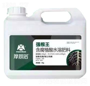 ����ֲ��ˮ�ܷ��� ������ Ħ����