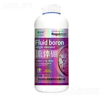 ���w�� ������