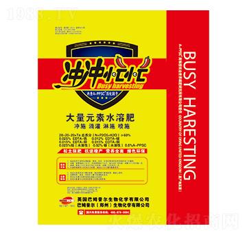 大量元素水溶肥20-20-20+TE-沖沖忙忙-巴姆普爾