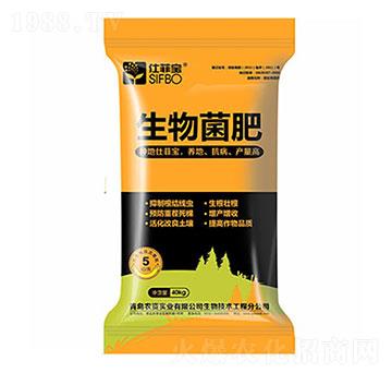 ������� �˷ƌ� �����_