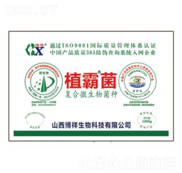 復(fù)合微生物菌種-植霸菌-博祥生物