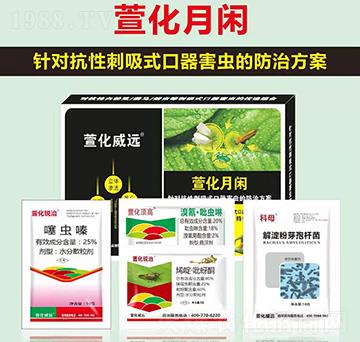 �滯���e-�滯���h(yu��n)