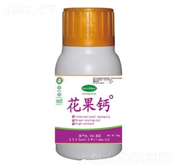 �M(j��n)�����ϑB(t��i)�̷��}-�����}-���A��