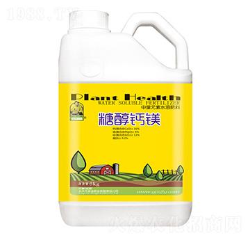 �Ǵ��}�V-ʥ��ʘI(y��)