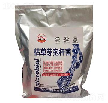 �ݲ�ѿ�ߗU��-ʢ������