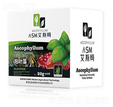 泡葉藻-艾斯姆-生肽美