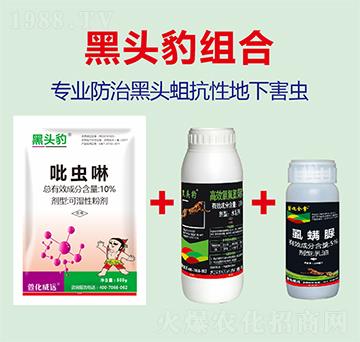 10%���x(ch��ng)��+2.5%