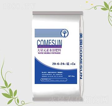 ����Ԫ��ˮ�ܷ�20-6-24+��+Ca-����ʘI(y��)