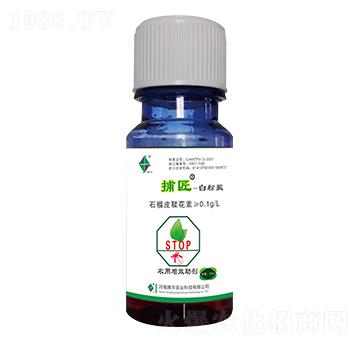 �׷�ʭ���ò���-�v�S�r(n��ng)�I(y��)