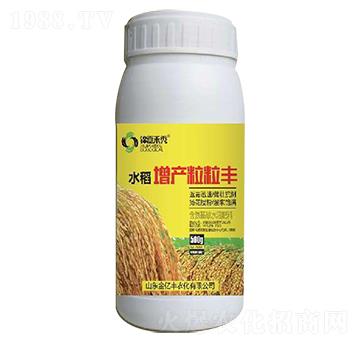 水稻增產(chǎn)粒粒豐-金億豐