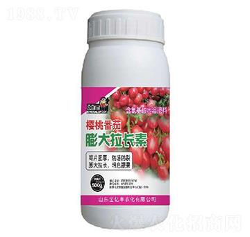 櫻桃番茄膨大拉長(zhǎng)素-金億豐