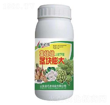 莖塊膨大-金娃娃上控下促-金億豐