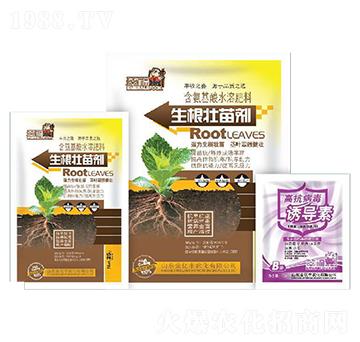 含氨基酸水溶肥-生根壯苗劑+高抗病毒誘導(dǎo)素-金億豐