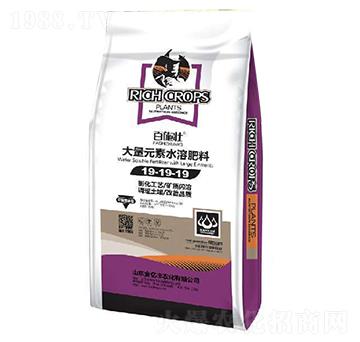 大量元素水溶肥料19-19-19+TE-百施壯-金億豐