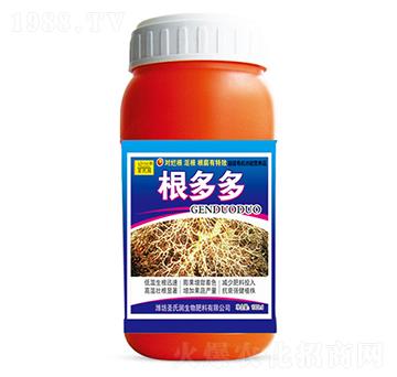 �����-ʥ�ϝ�(r��n)