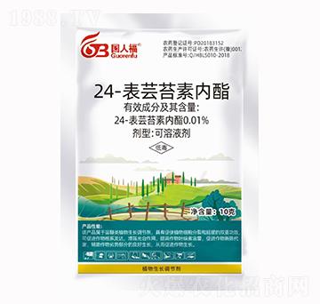 24-���|̦�؃�(n��i)��-���˸�