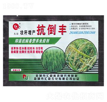 壯稈增產抗倒豐-匯豪農化