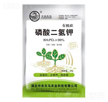 50g�ЙC����������-���r(n��ng)���R