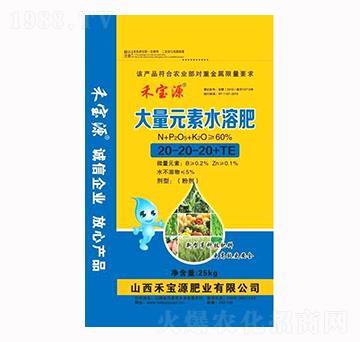 大量元素水溶肥20-20-20+TE-禾寶源肥業(yè)