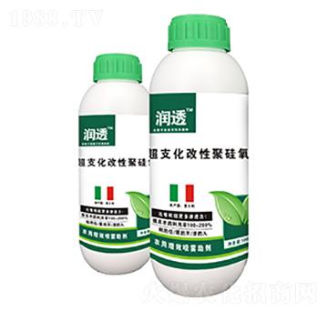 ��(r��n)͸-��(y��u)��˼