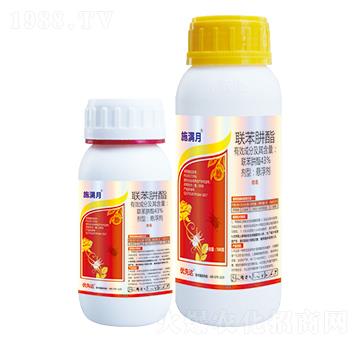 43%(li��n)������-ʩ�M��-��(y��u)���_(d��)