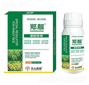 ������(zhu��n)��-���n-����ֲ��