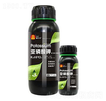 �������-�T���S����