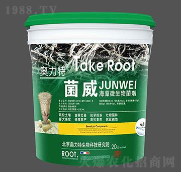 ��������΢�������-�W����-��˼�D