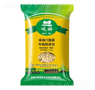 �����طN��-��ķ-���ݳ���