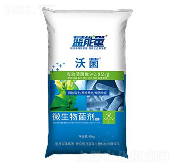 ΢����������w����-�־�-�{����