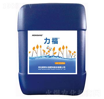 ����-�Ȏ�