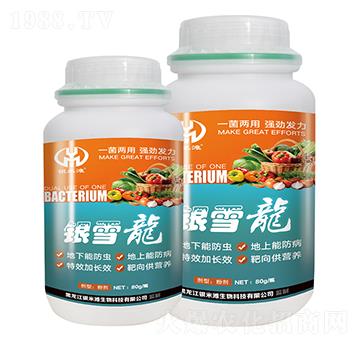 微生物菌劑-銀雪龍-銀米灘生物