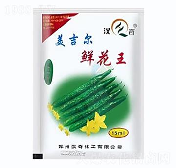 鮮花王-美吉爾-漢奇