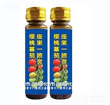 櫻桃番茄坐果一噴靈-漢奇化工