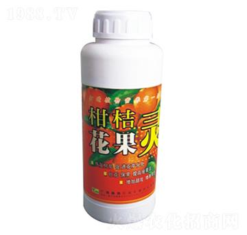 �̽ۻ����`-��ķ�r�I(y��)